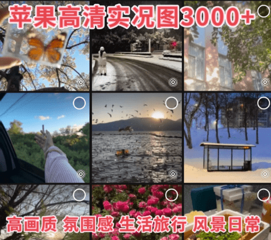 20250722223339631-1753194816501 20250722223339631-1753194816501